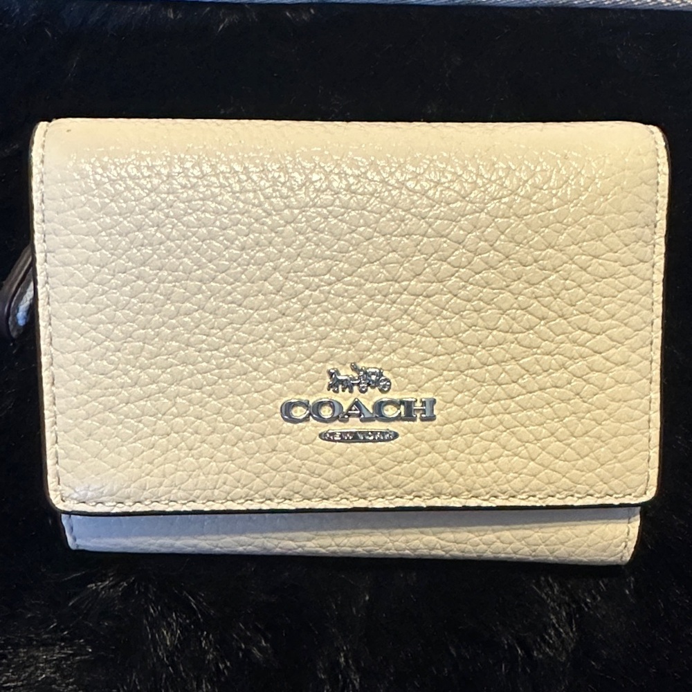Coach Chalk Micro Wallet